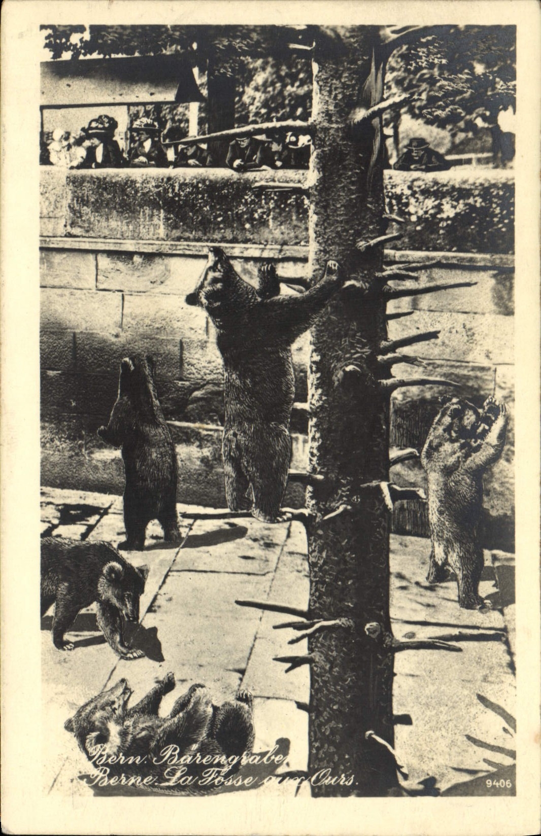 CPA Ours Bern Barengraben
