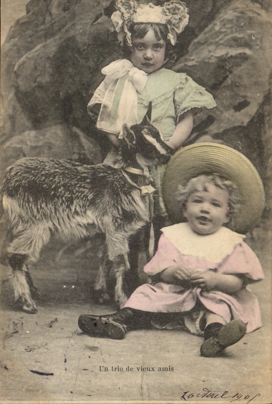 VINTAGE POSTCARD Children Goat