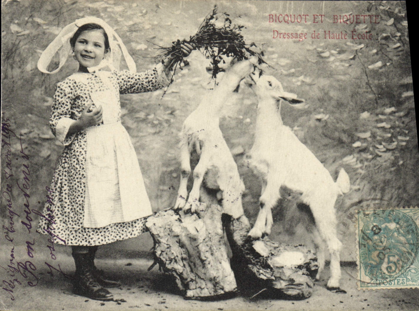 VINTAGE POSTCARD Bicquot and Bicquette Child Goat