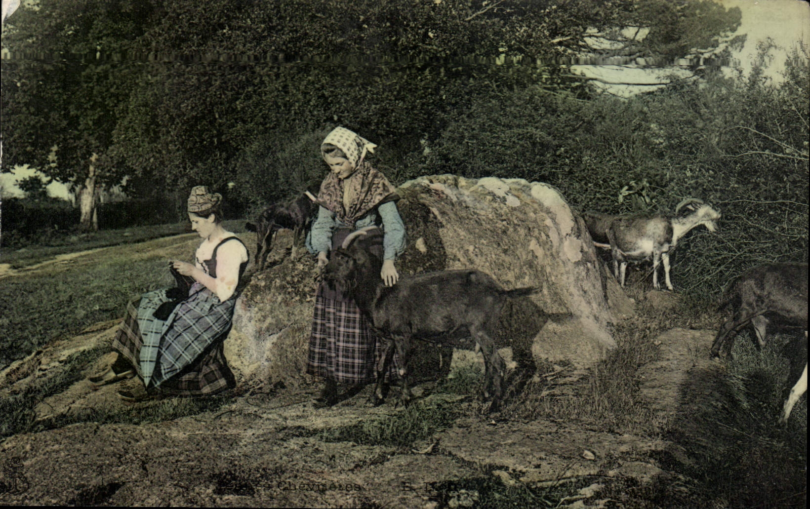 VINTAGE POSTCARD Woman Goat Folklore