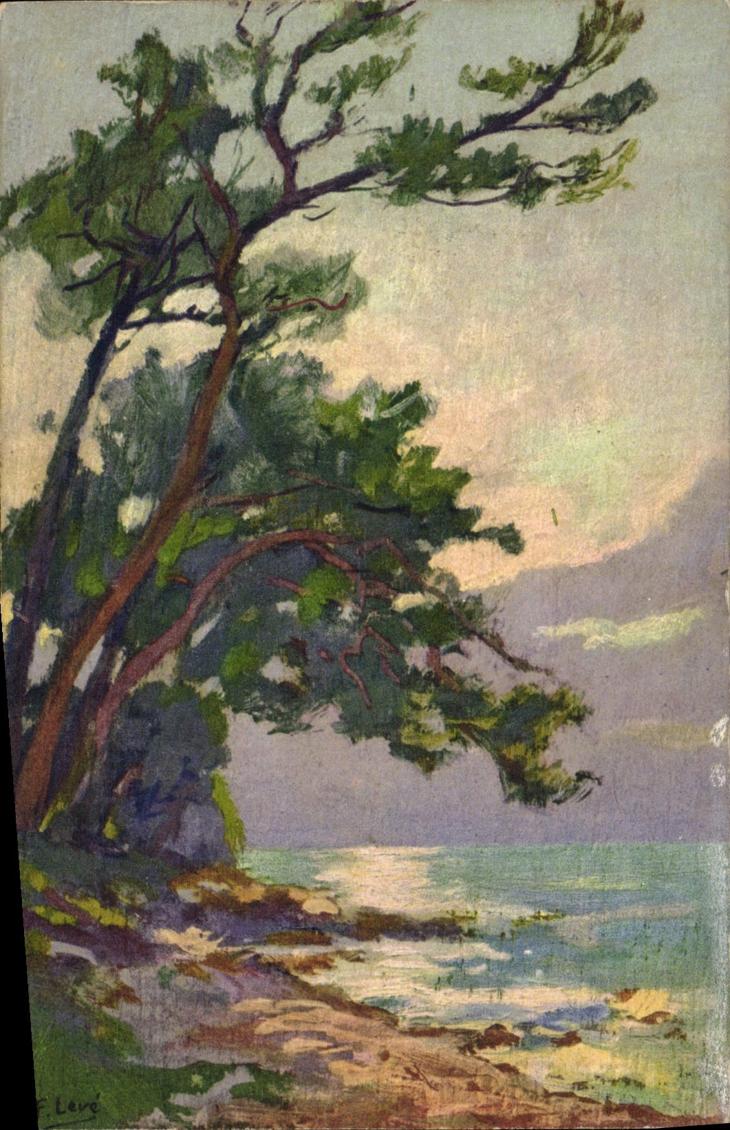 VINTAGE POSTCARD Fantasy Illustrator Raised Pines in the Cape Martin