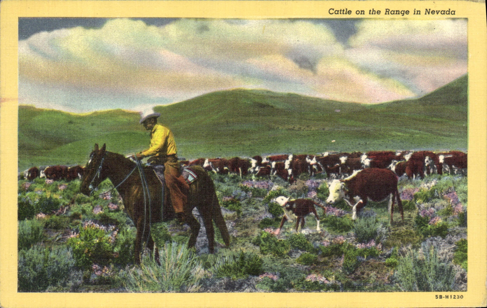 CPA Indiens Cattle on the range in Nevada