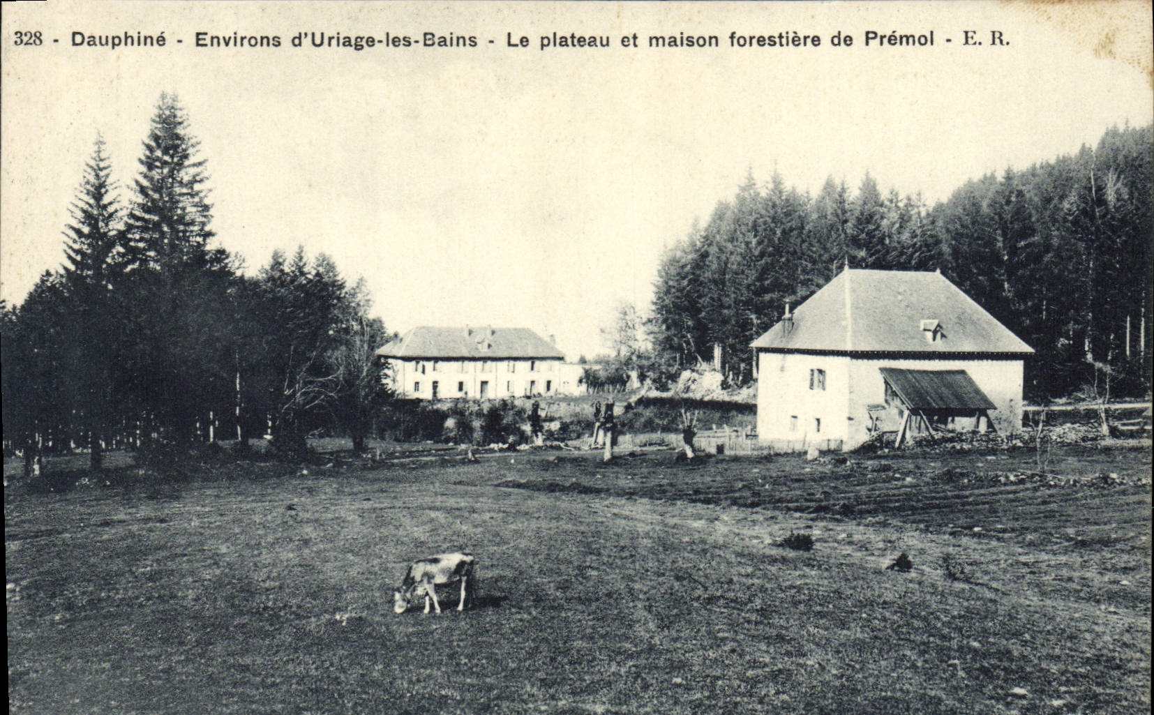 VINTAGE POSTCARD Surroundings of Uriage les Bains the plate and house forestiere of Premol