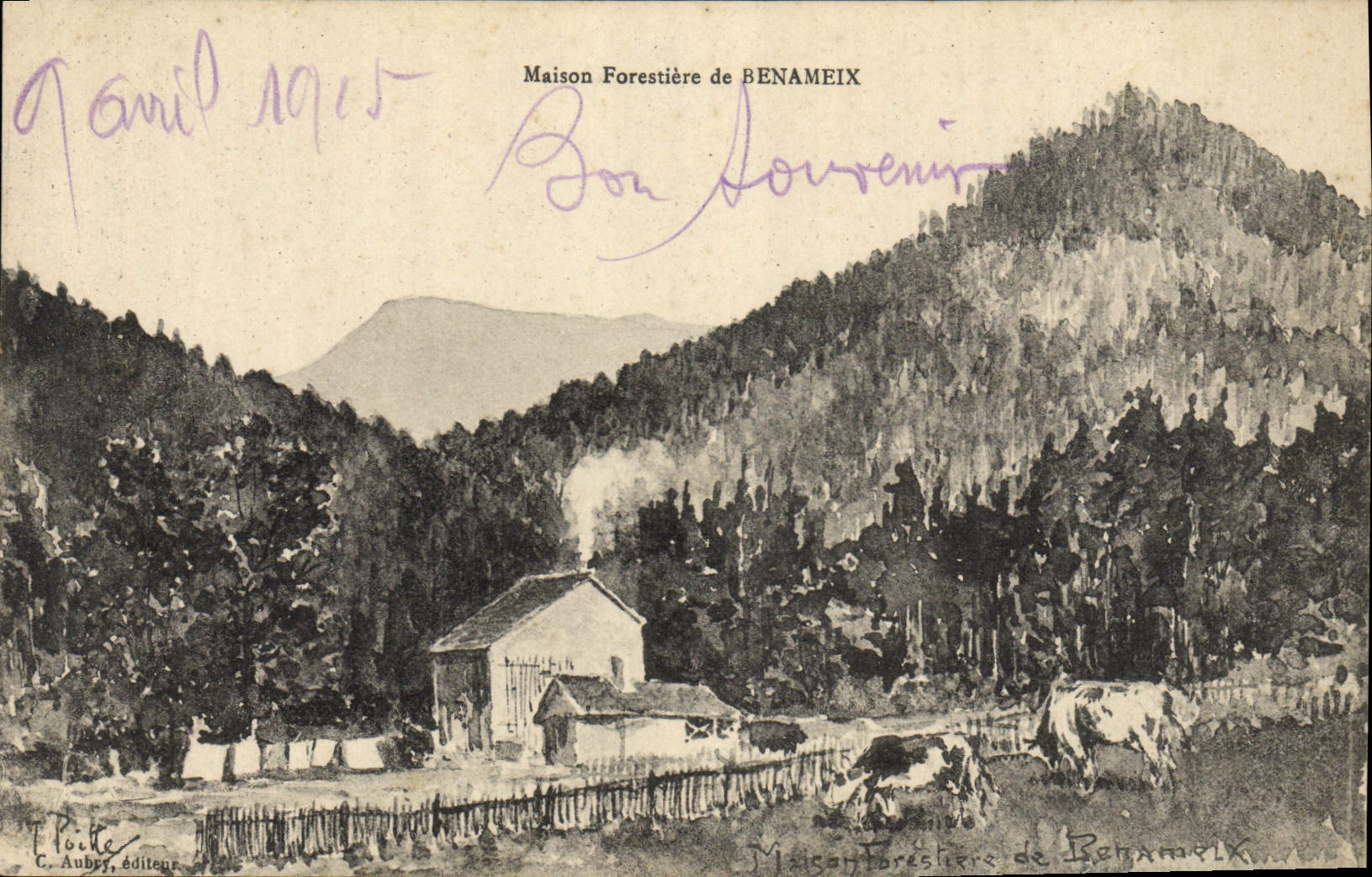VINTAGE POSTCARD House forestiere of Benameix