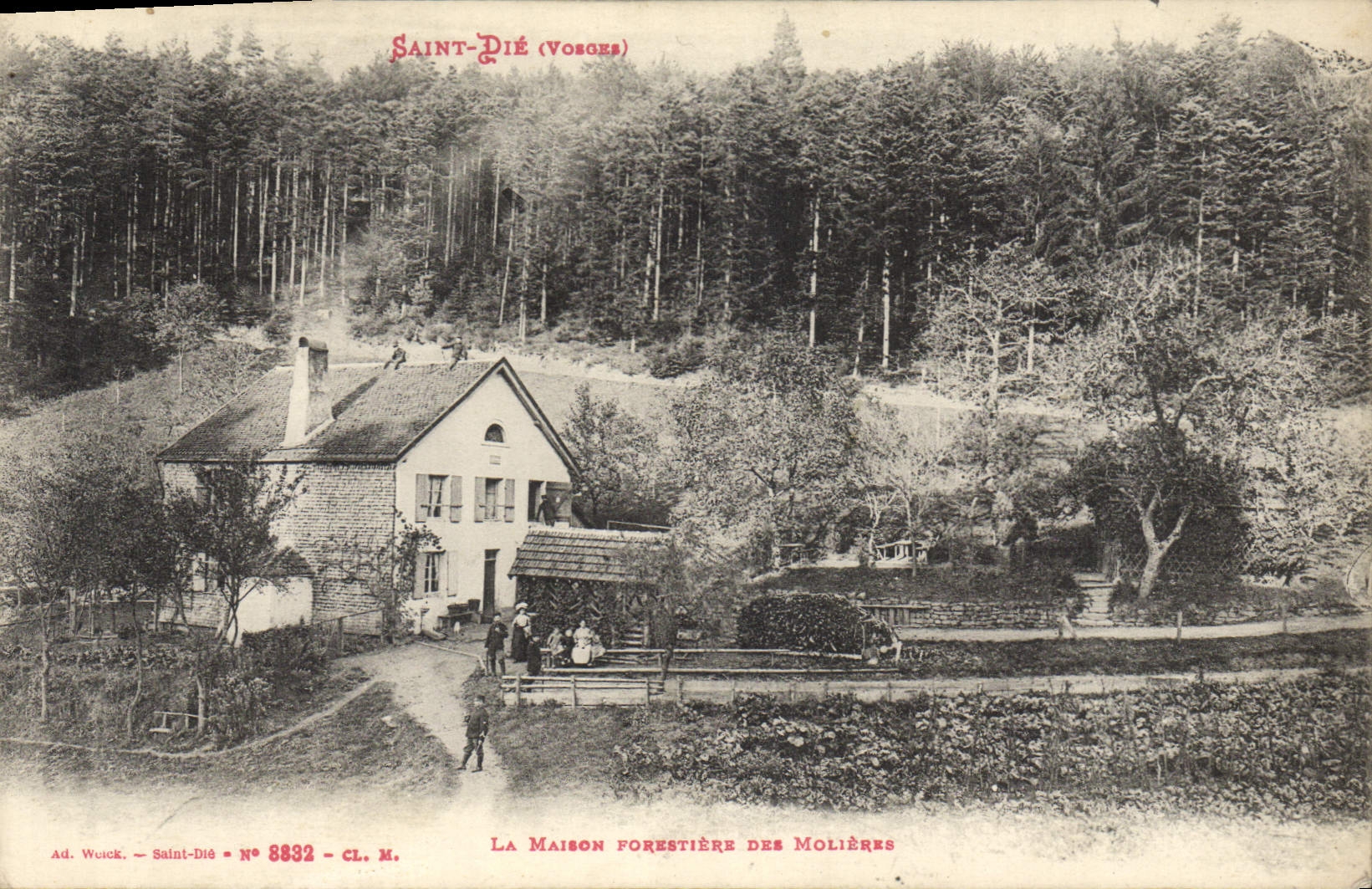 VINTAGE POSTCARD Holy Die the house forestiere of the molieres