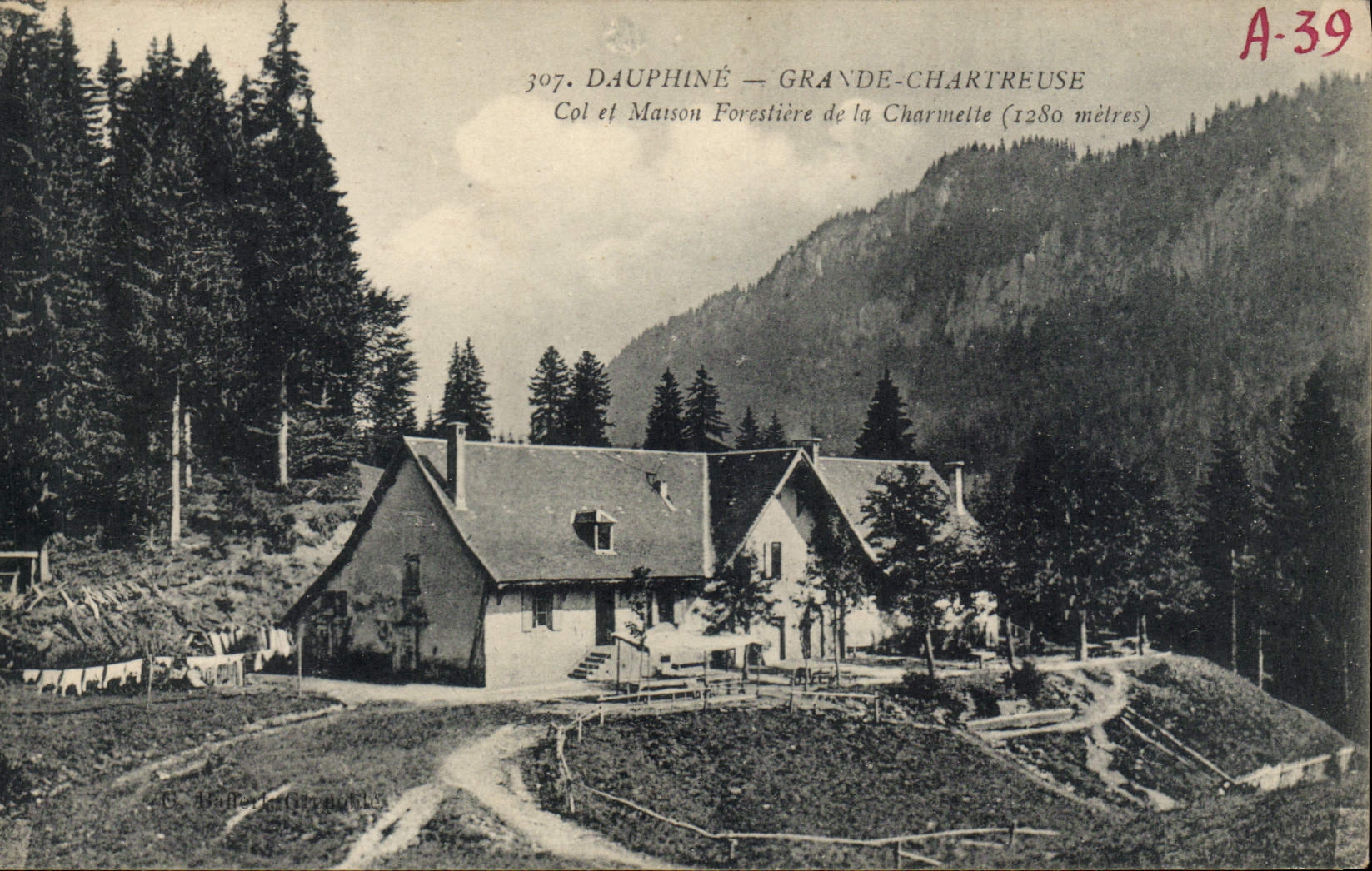 VINTAGE POSTCARD Large Chartreuse Collar and house forestiere of Charmette