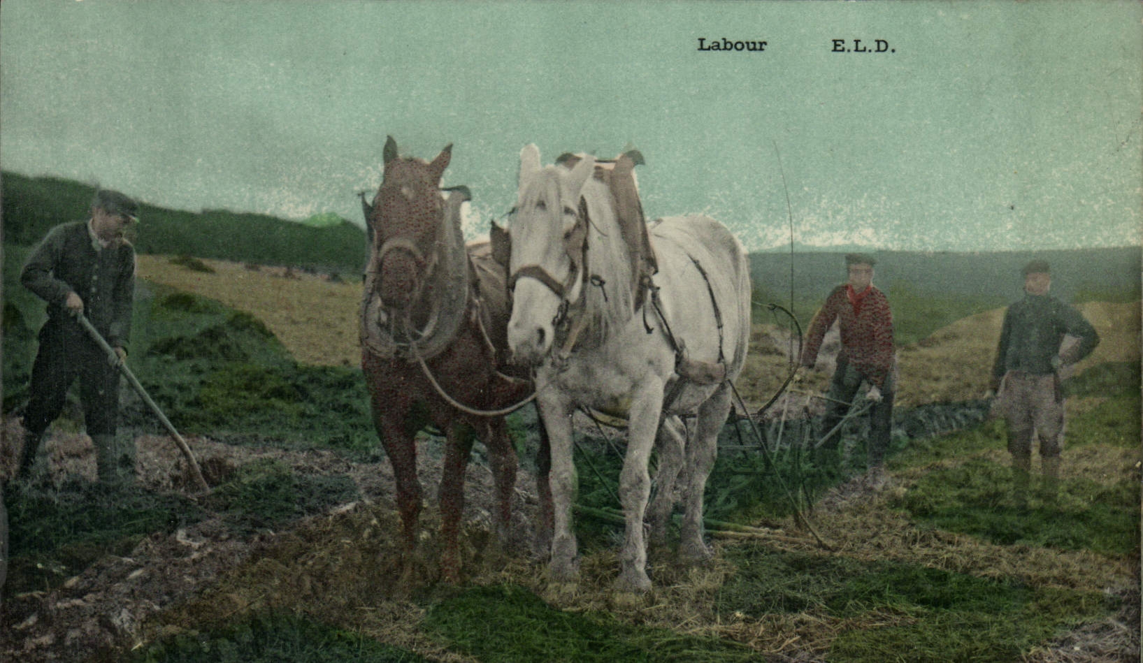 CPA Labour Chevaux 