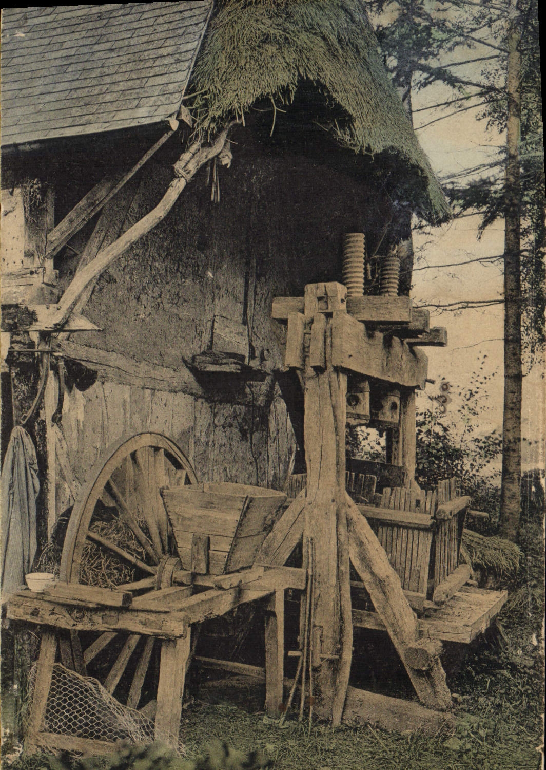 POSTAL Normandía de la VENDIMIA el folklore de la sidra