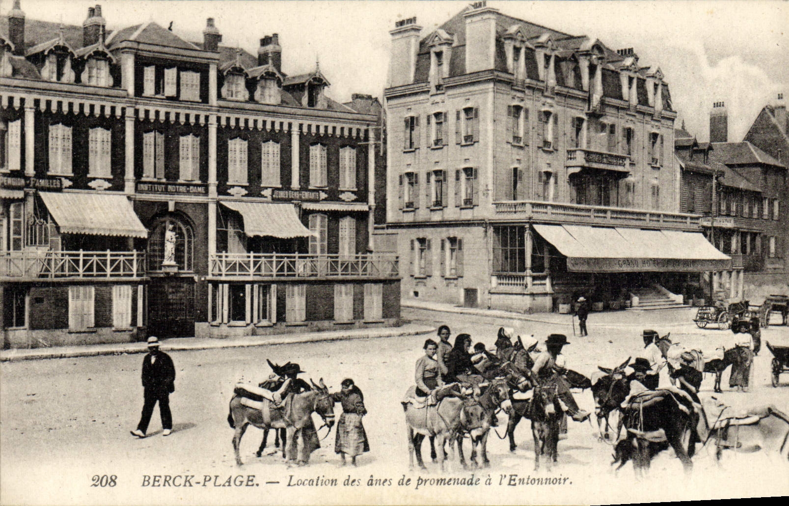CPA Ane Mule Berck Plage Location des anes de promenade a l'entonnoir