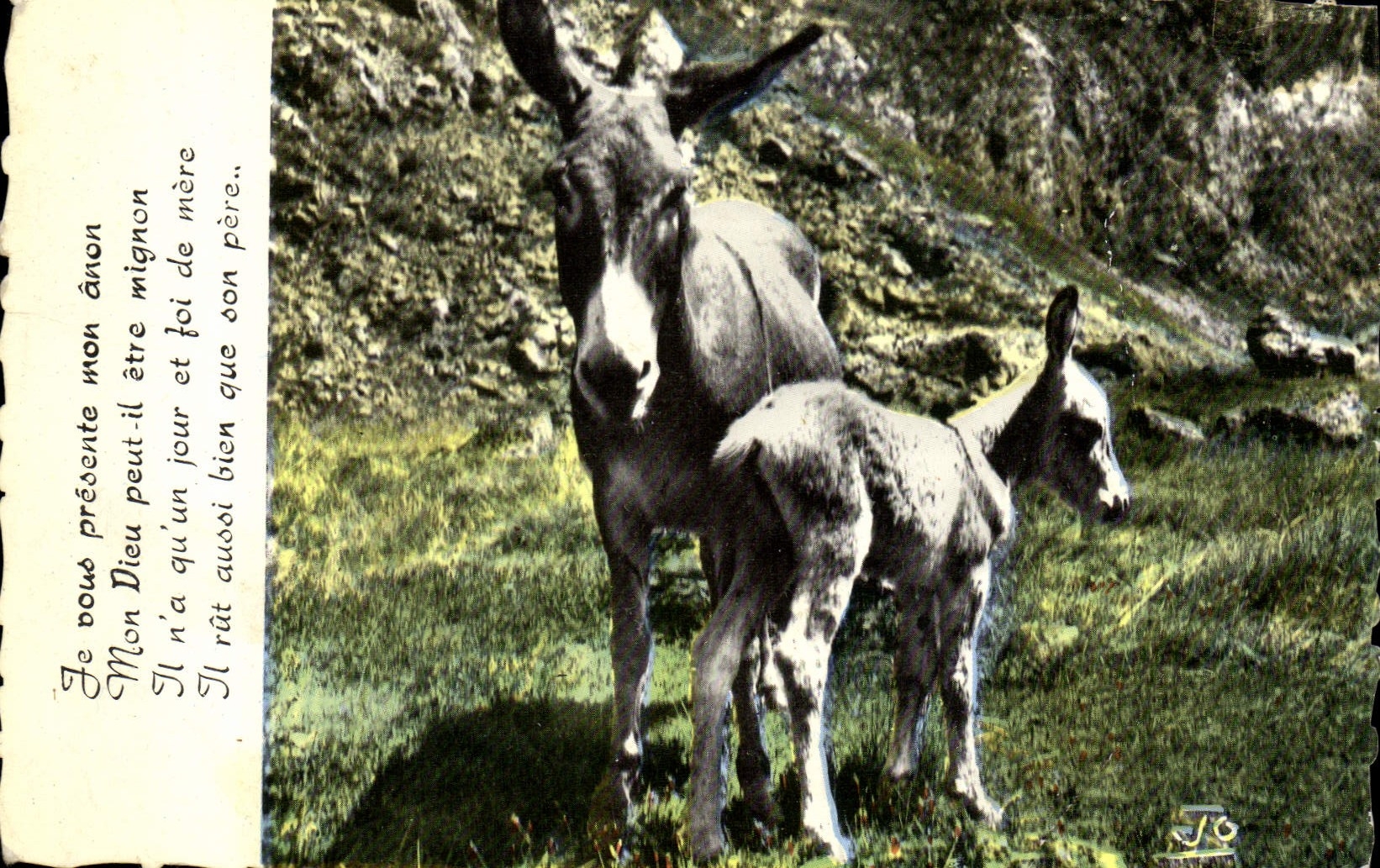 CPA Ane Mule Anesse et anon