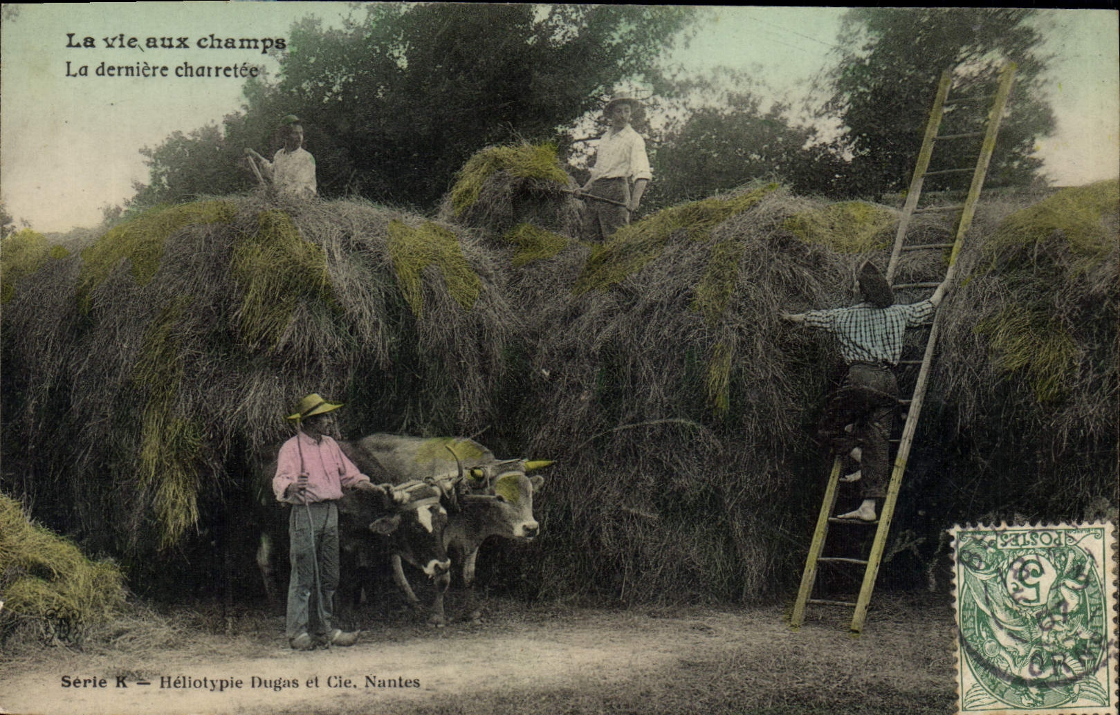 CPA Folklore La vie aux champs La derniere charretee Attelage Boeufs
