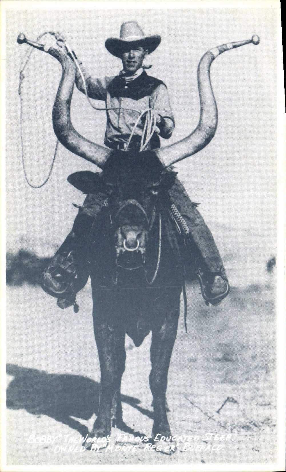 CPA Bobby The world's famous educated steep Monte Reger Buffalo Cowbot