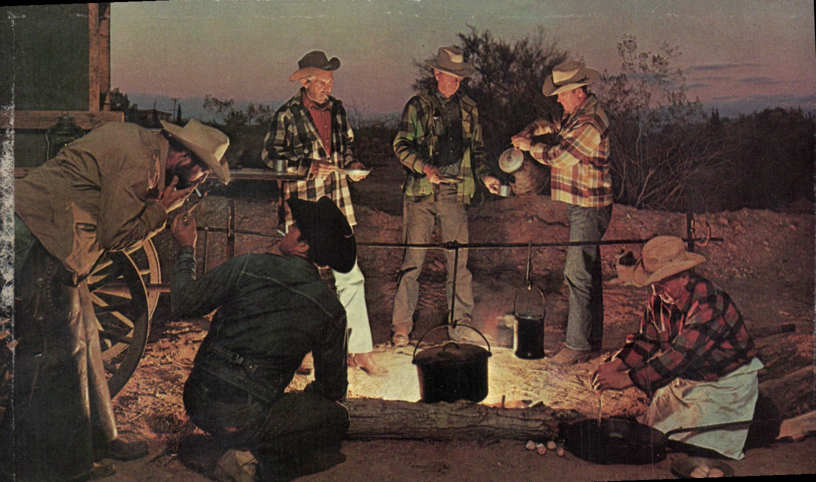 CPA Cowboy Cattle round up 