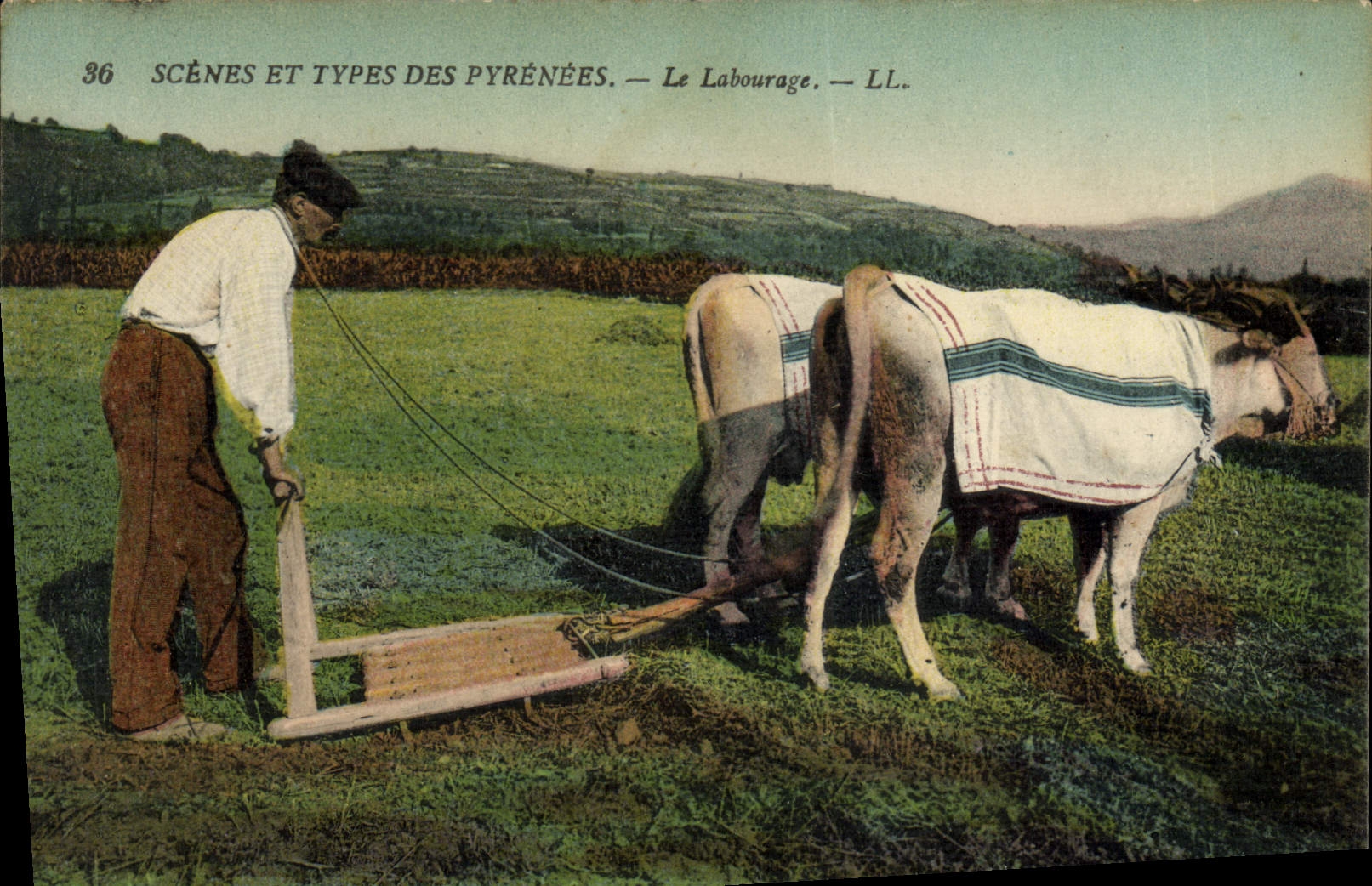CPA Folklore Le labourage Boeufs 
