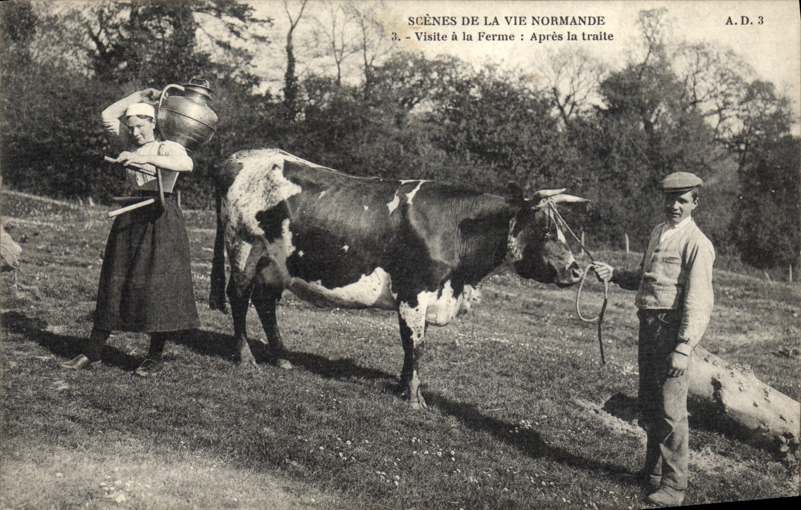Escenas del folklore de la POSTAL de la VENDIMIA de las visitas del normando de la vida con la granja después del bosquejo de Vache