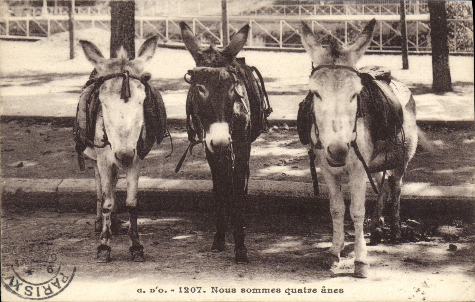 CPA Ane Mule Nous sommes quatre anes