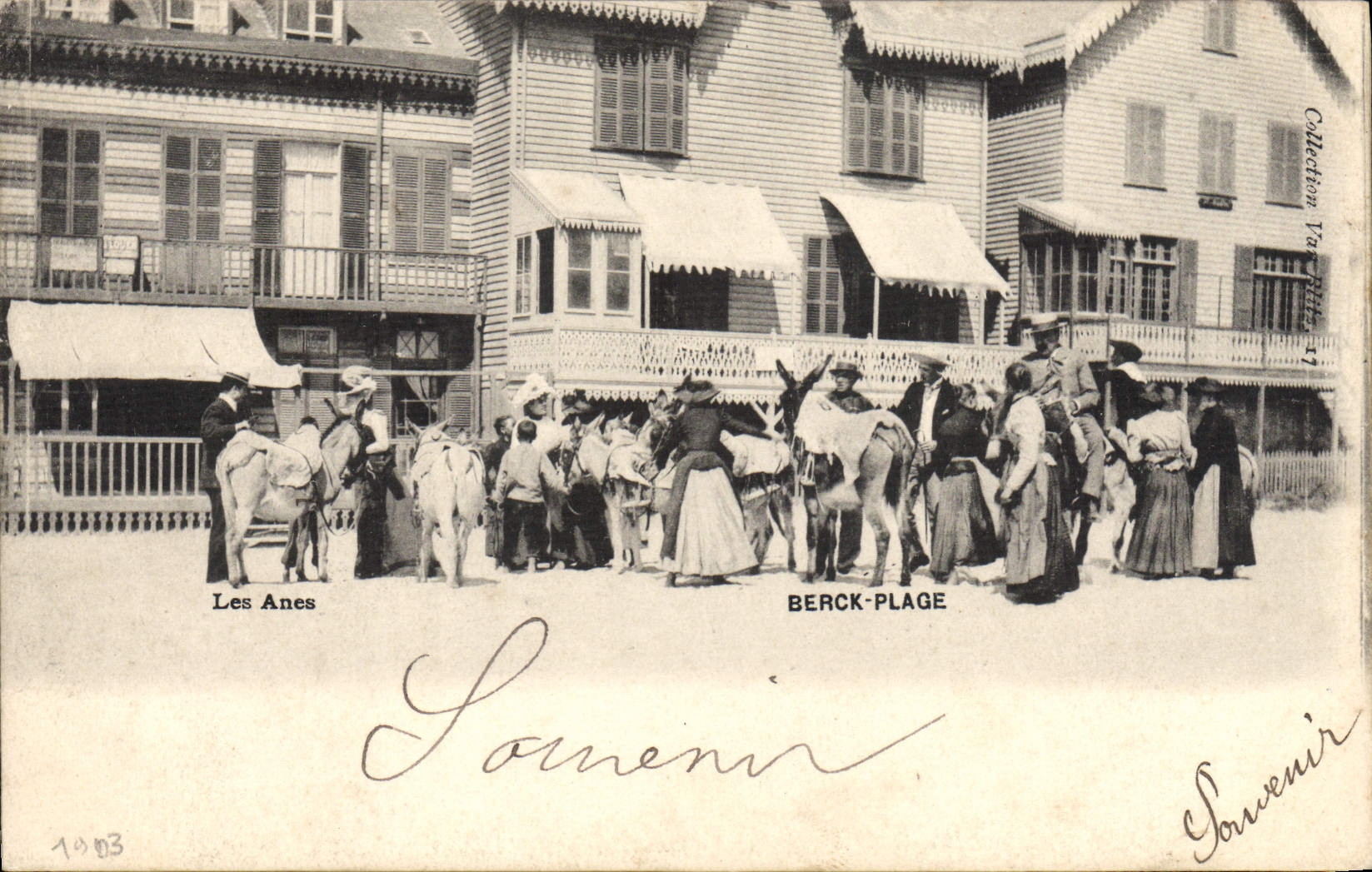 CPA Ane Mule Berck Plage Les anes 
