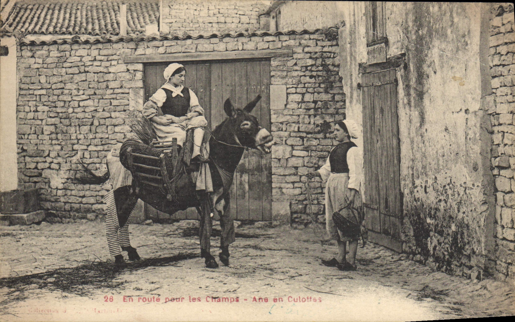 VINTAGE POSTCARD Ass Mule On the way for the fields Ass in breeches