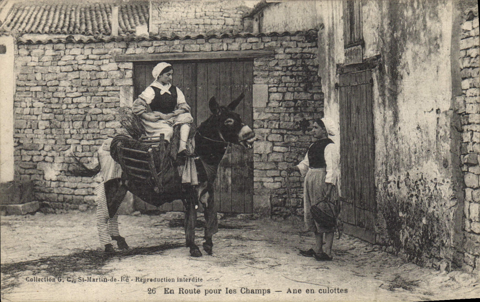 CPA Ane Mule En route pour les champs Ane en culotte 