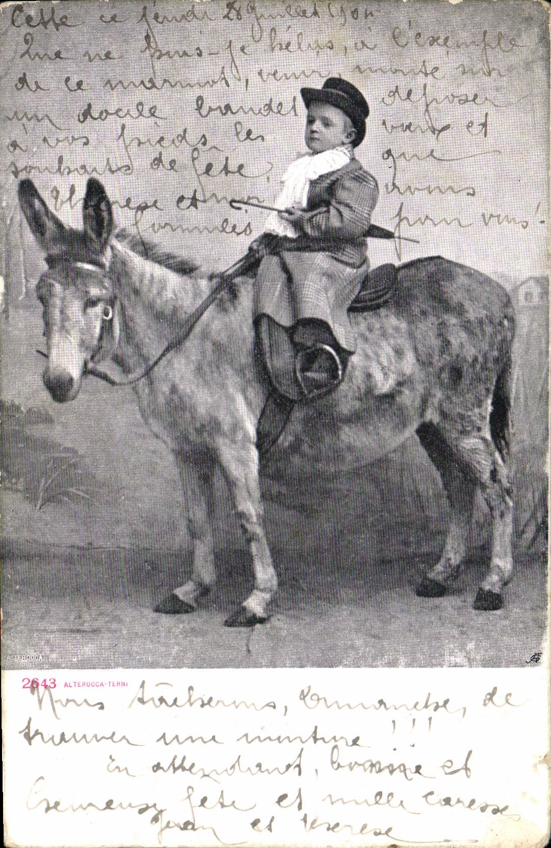 CPA Ane Mule Enfant