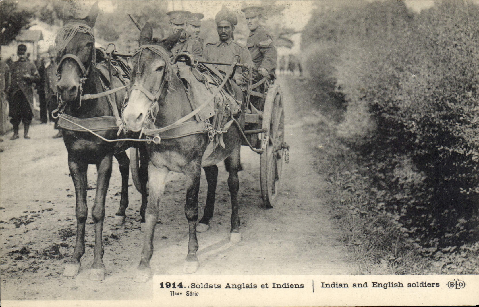VINTAGE POSTCARD Ass Mule English and Indian Soldiers Militaria