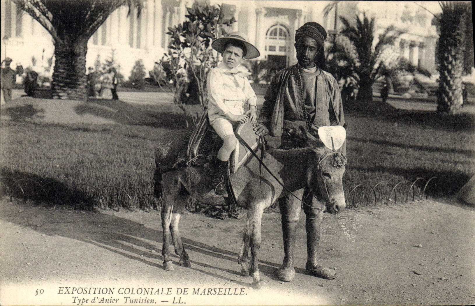VINTAGE POSTCARD Ass Mule Fair colonial of Standard Marseilles of Tunisian donkey-driver Child