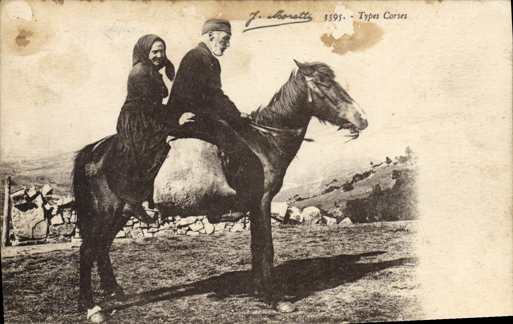 Estándares corsos Córcega Córcega de la mula del asno de la POSTAL de la VENDIMIA