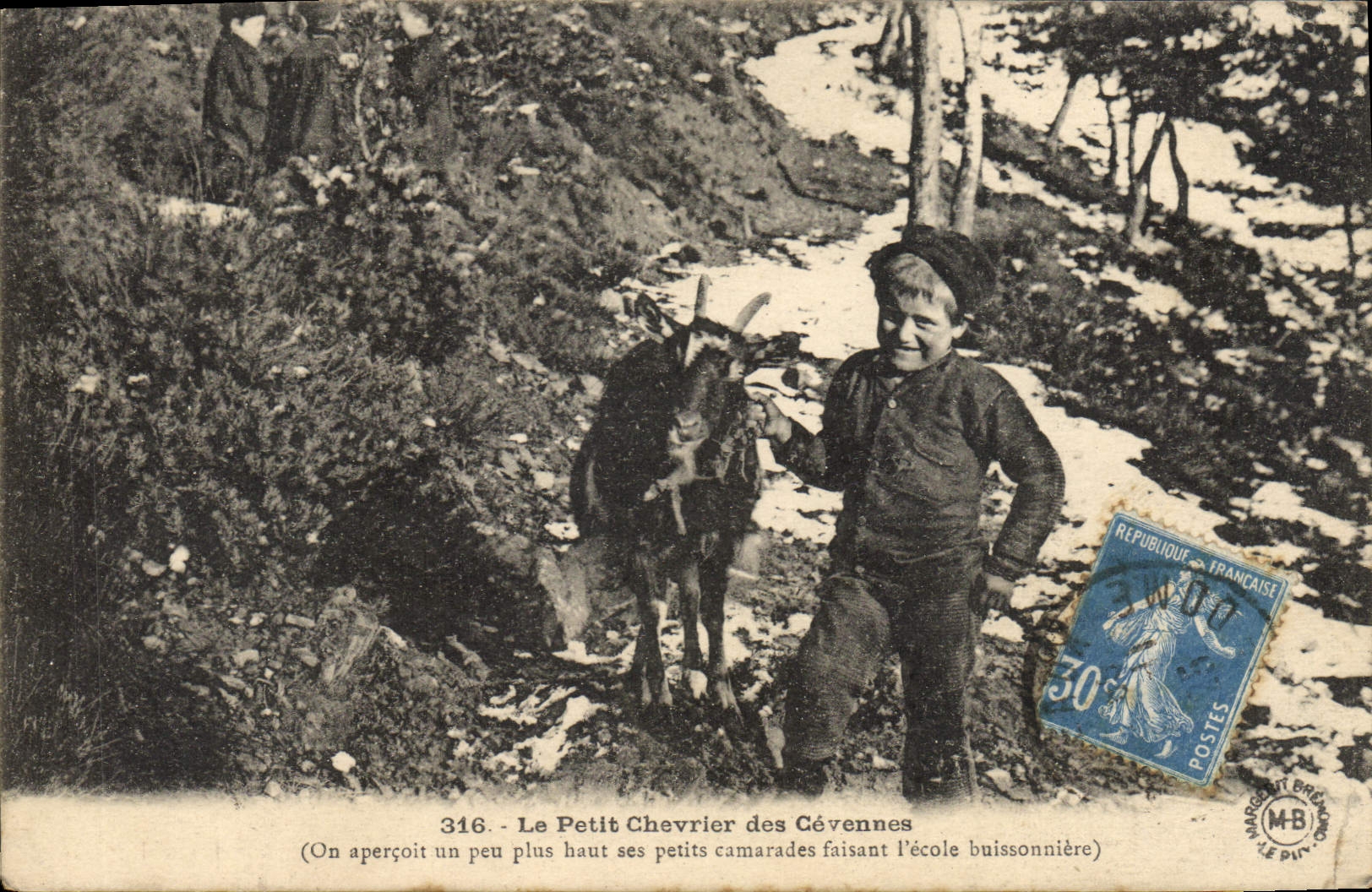 VINTAGE POSTCARD Child the small chevrier of the Cevennes School buisonniere