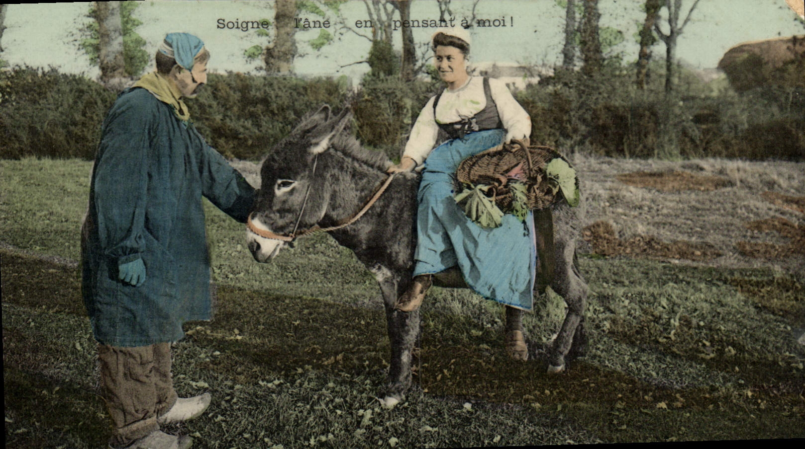 CPA Folklore Soigne l'ane Mule 