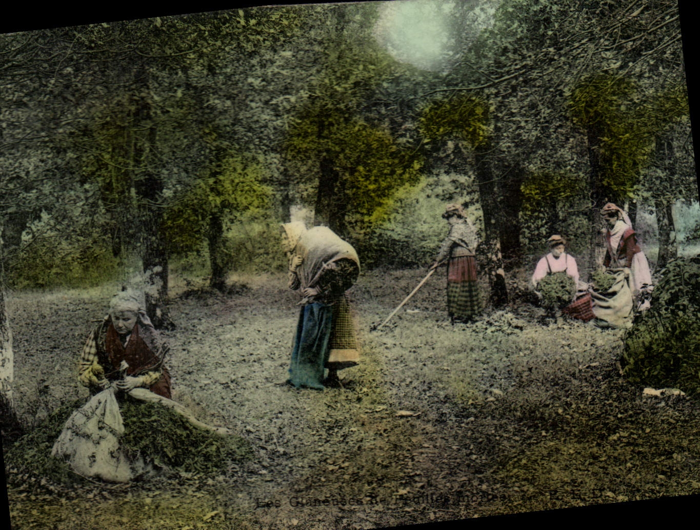 CPA Folklore Les glaneuses de feuilles mortes 