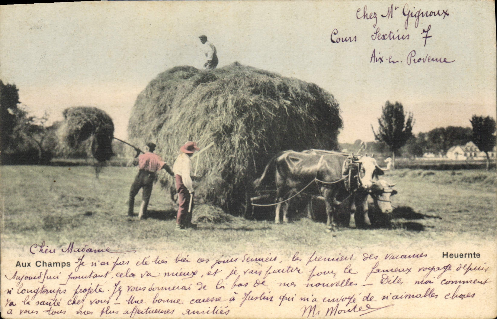VINTAGE POSTCARD Folklore With the fields Coach
