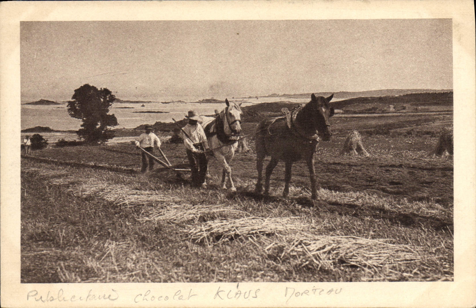 Chocolate de arado Klaus del caballo del coche del folklore de la POSTAL de la VENDIMIA