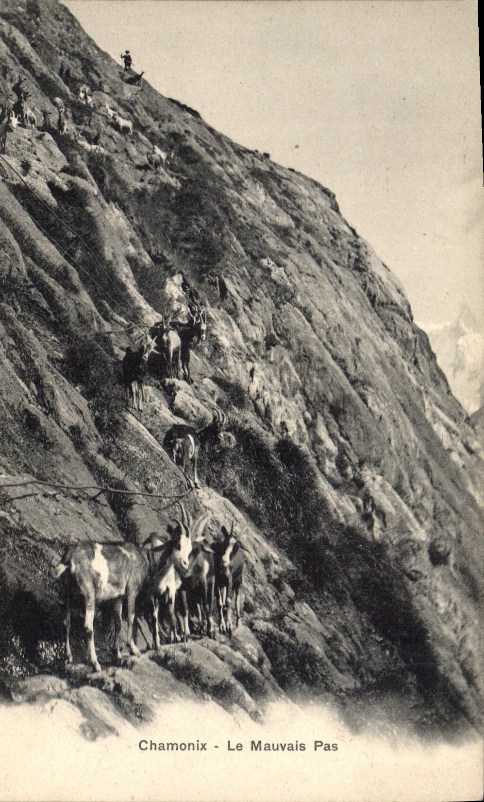 CPA Chevre Chamonix Le mauvais pas 