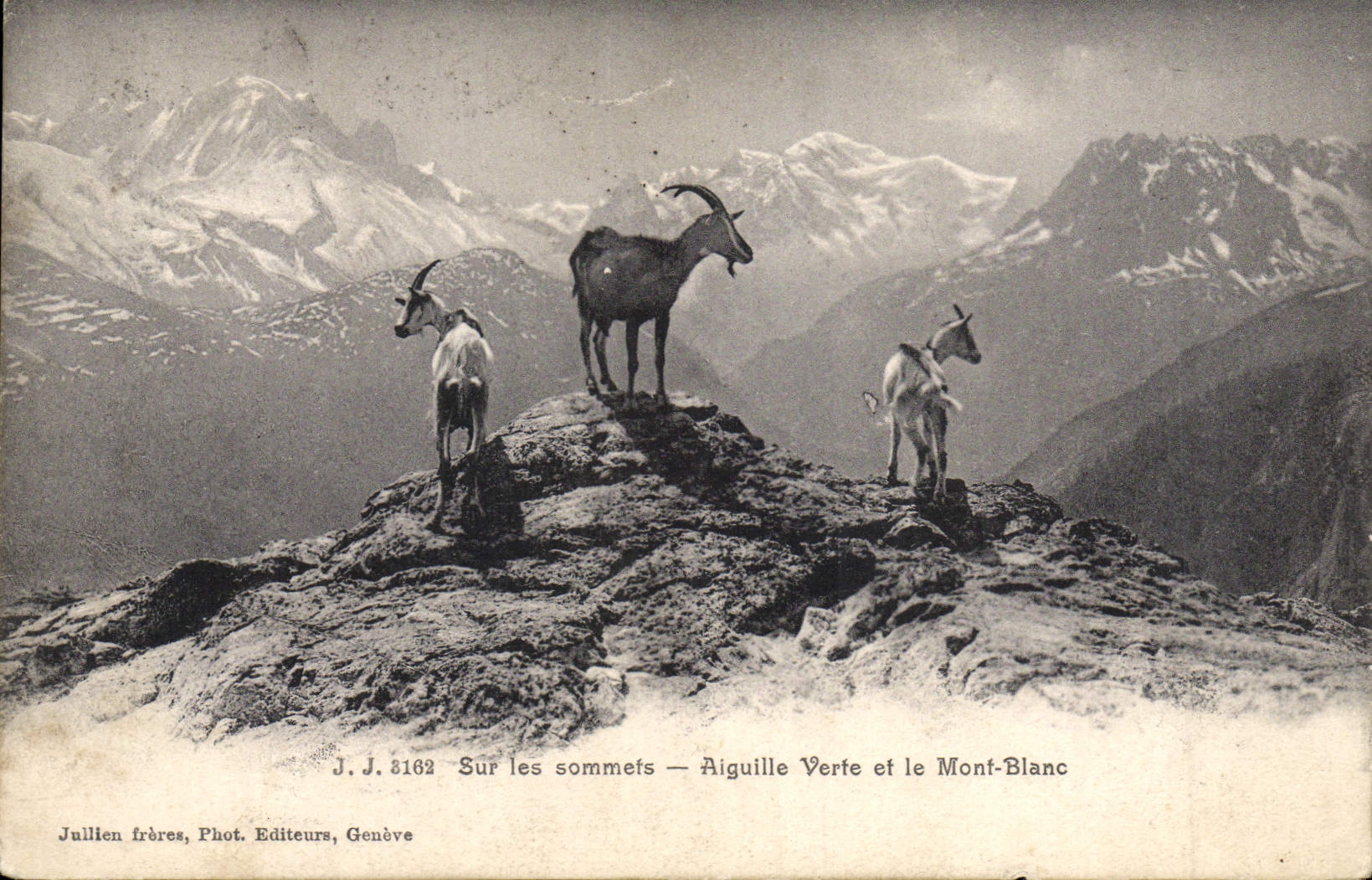 CPA Chevre Sur les sommets Aiguille verte et le Mont Blanc