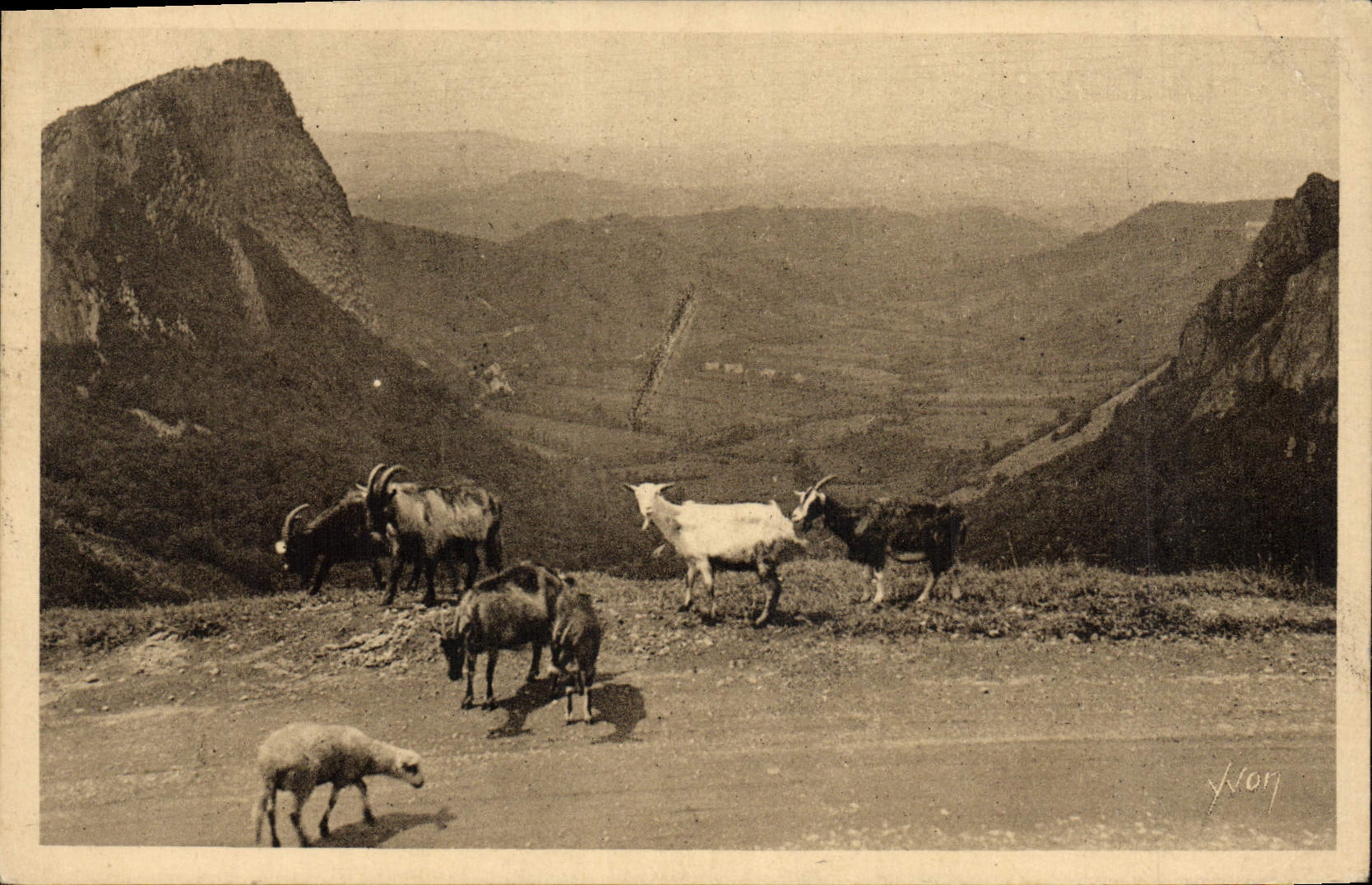 VINTAGE POSTCARD Chevre Surroundings of the Mount Gilds Valley of Sioule and the Rocks Sanadoire and Tuiliere