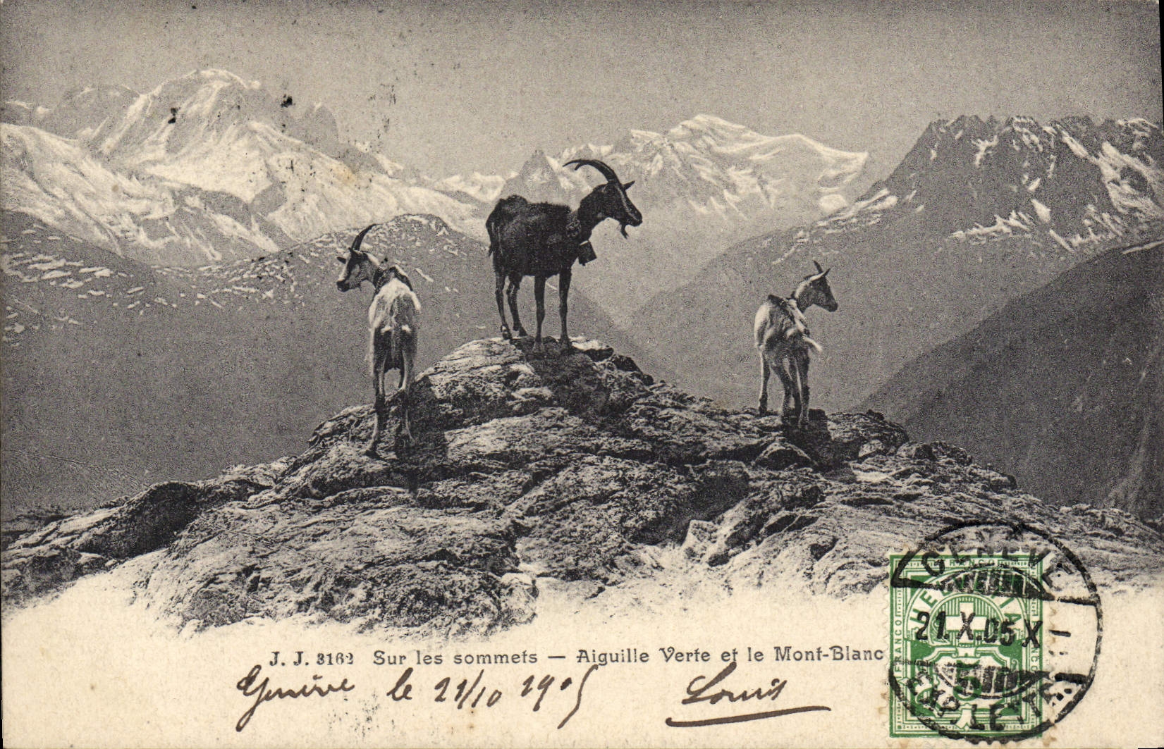 CPA Chevre Sur les sommets Aiguille verte et le Mont Blanc