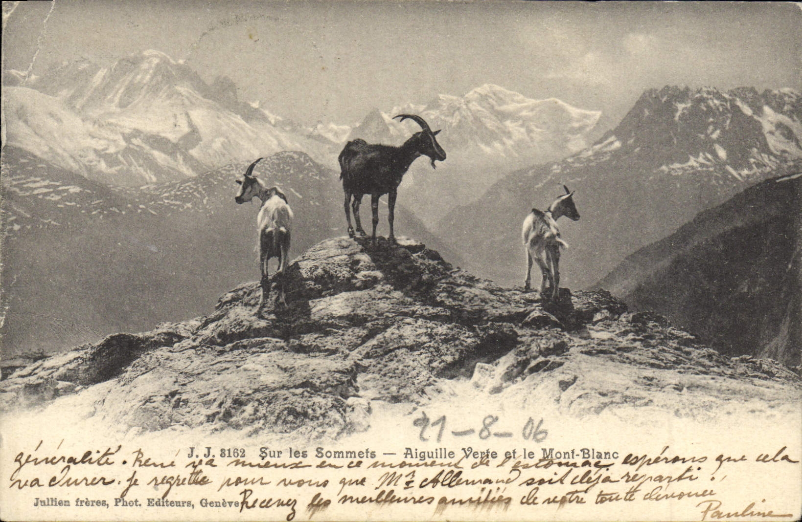 CPA Chevre Sur les sommets Aiguille verte et le Mont Blanc