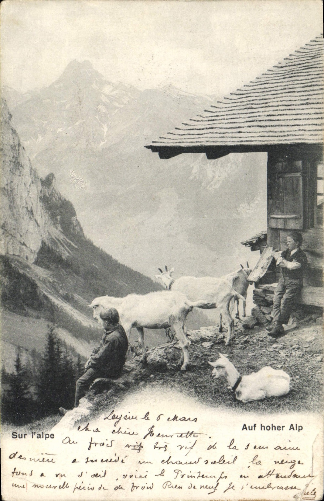 VINTAGE POSTCARD Goat On Alpe