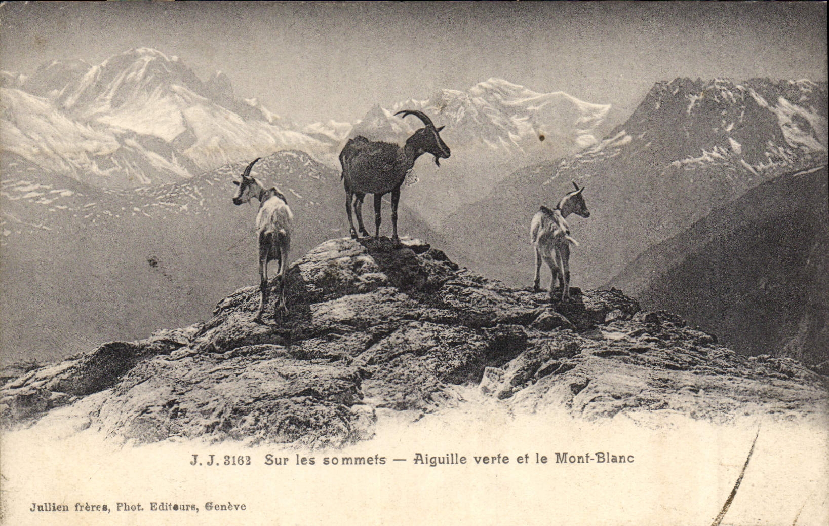 CPA Chevre Sur les sommets Aiguille verte et le Mont Blanc