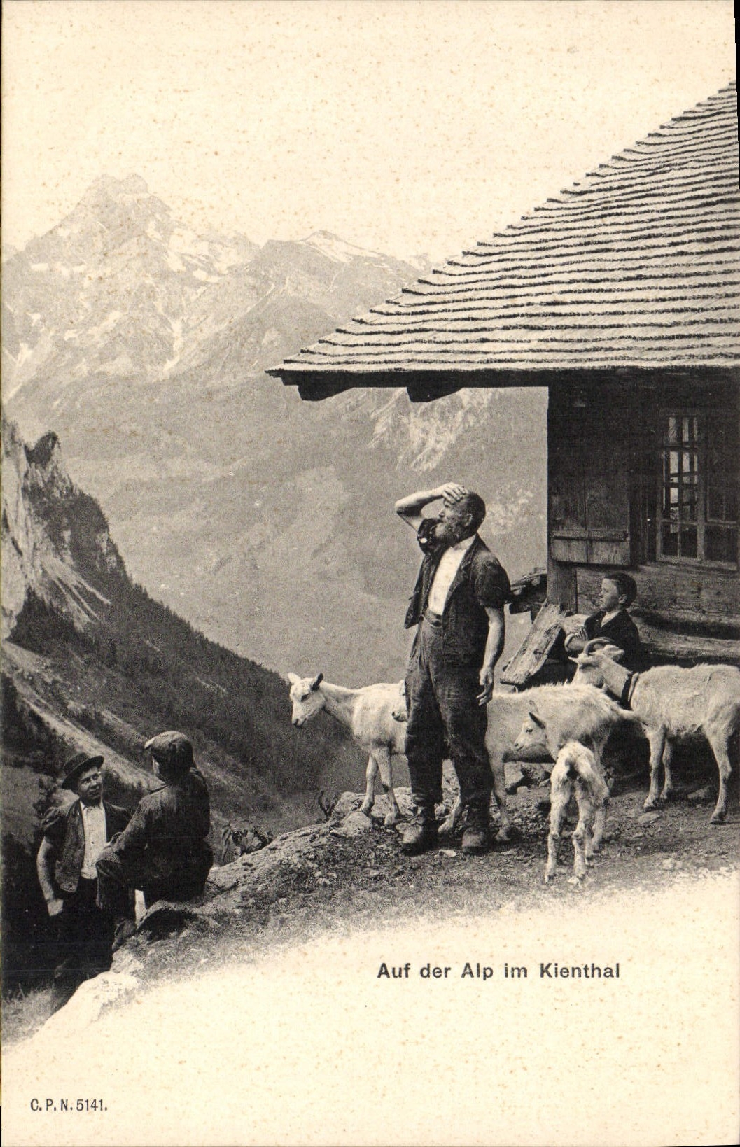 VINTAGE POSTCARD Goat Auf der Alp im Kienthal