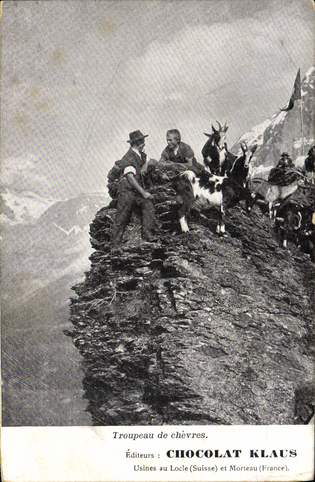 VINTAGE POSTCARD Goat Herd of goats Klaus Chocolate