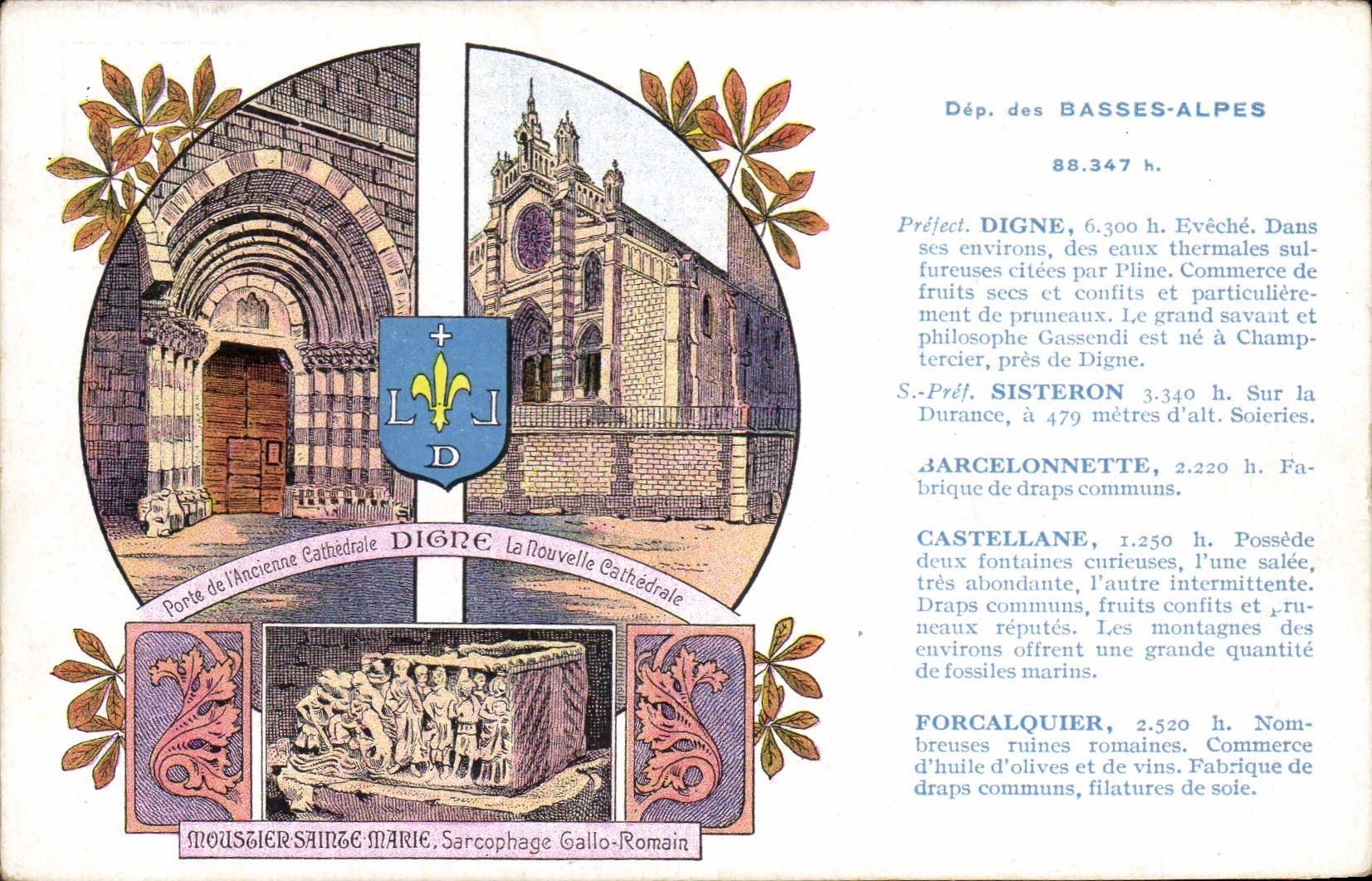 VINTAGE POSTCARD the Low Alps Worthy