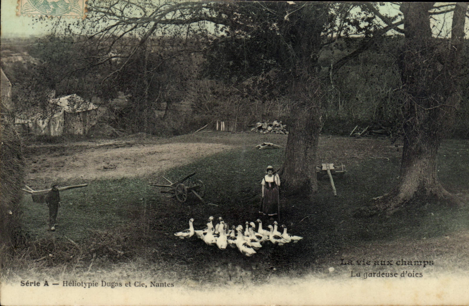 CPA Folklore La vie aux champs La gardeuse d'oies