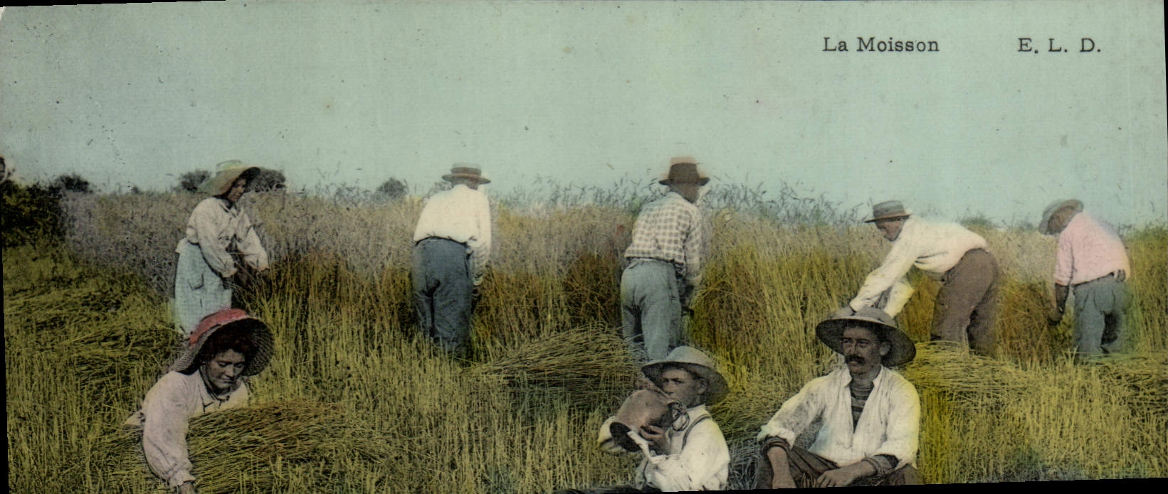 VINTAGE POSTCARD Folklore the harvest