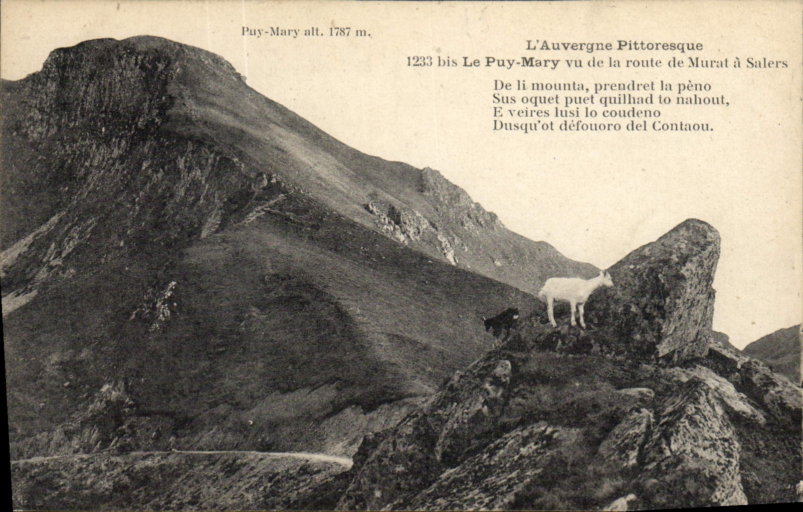 VINTAGE POSTCARD Chevre Puy Mary seen of the road of Murat has Salers