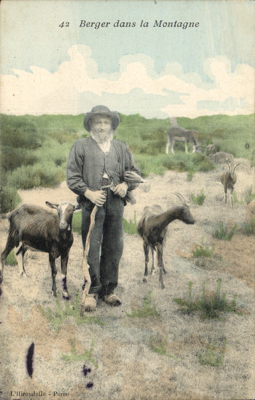 VINTAGE POSTCARD Goat Shepherd in the mountain