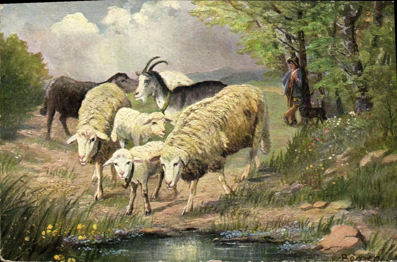 VINTAGE POSTCARD Goat Sheep