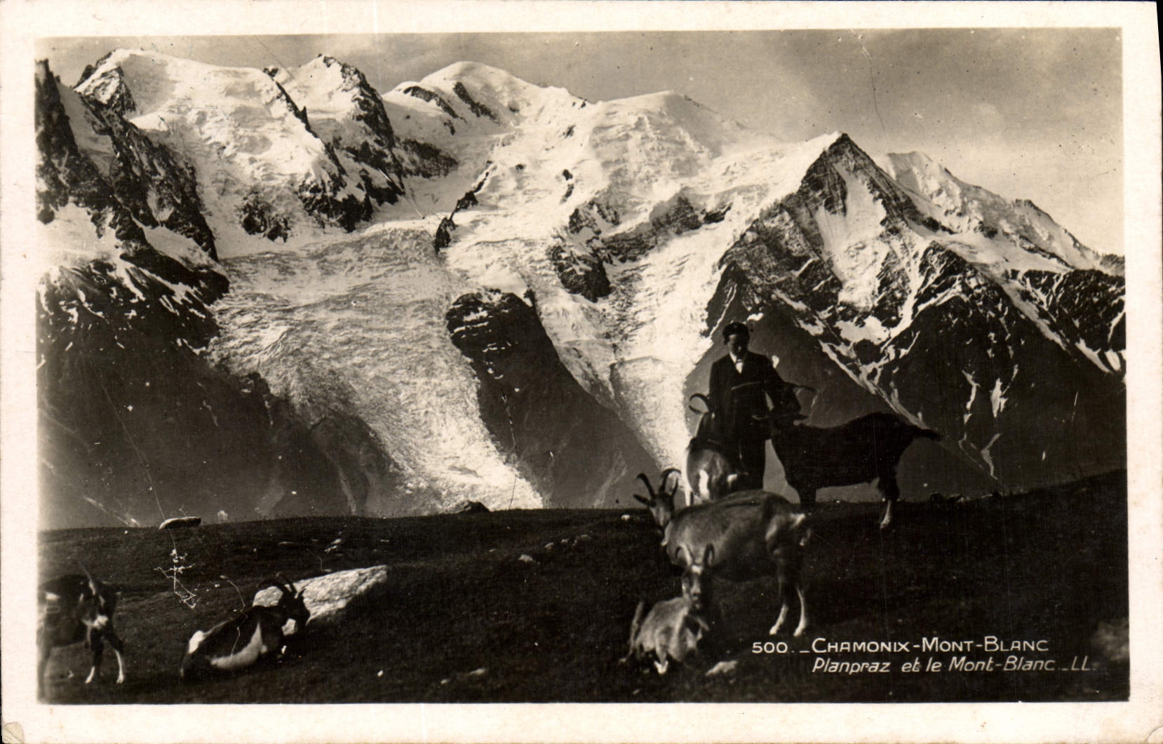 CPA Chevre Chamonix Mont Blanc Planpraz et le Mont Blanc 