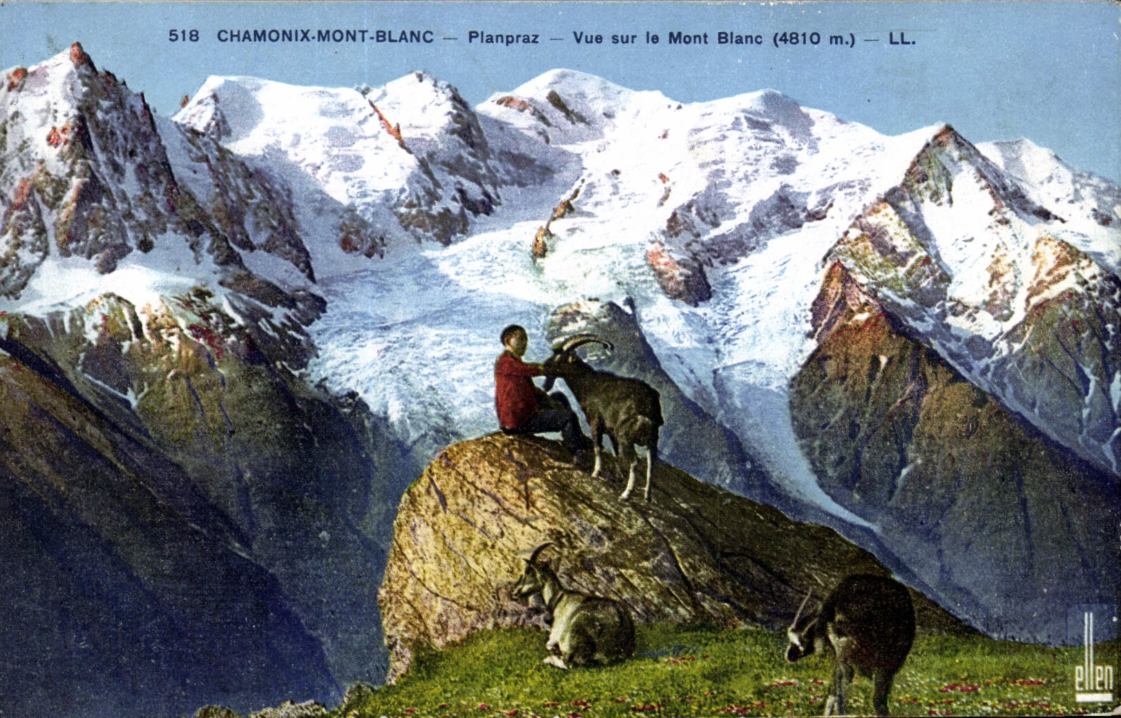 CPA Chevre Chamonix Mont Blanc Planpraz Vue sur le Mont Blanc 