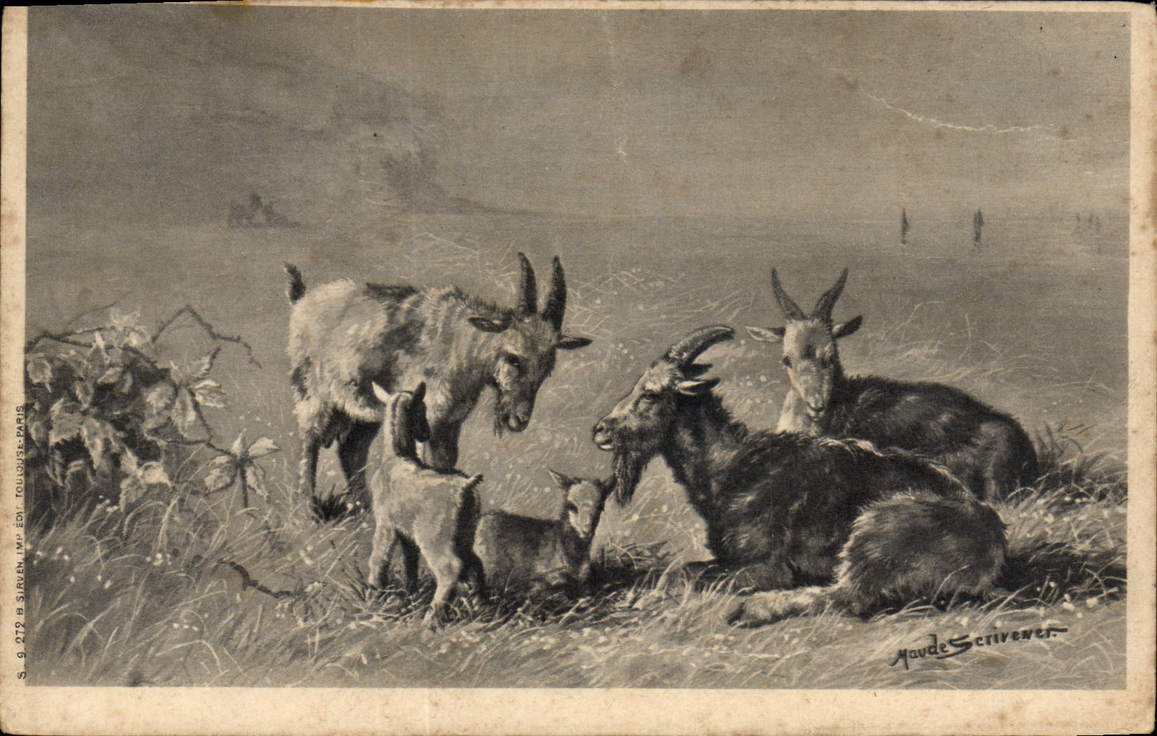 CPA Chevre 